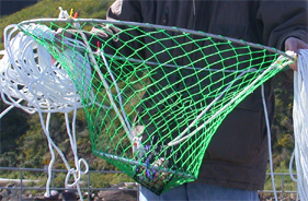 A Hoop Net
